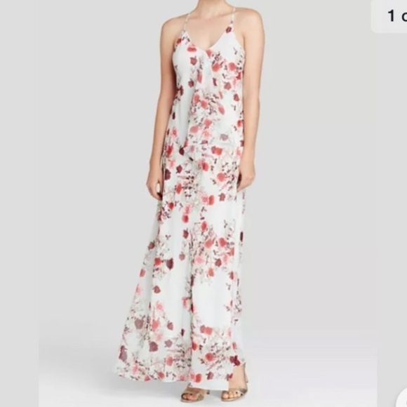 NWT Cynthia Steffe Gabi Pale Green Rose Print V-Neck Maxi Dress Size 0 $278